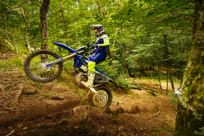 03170508 image 1