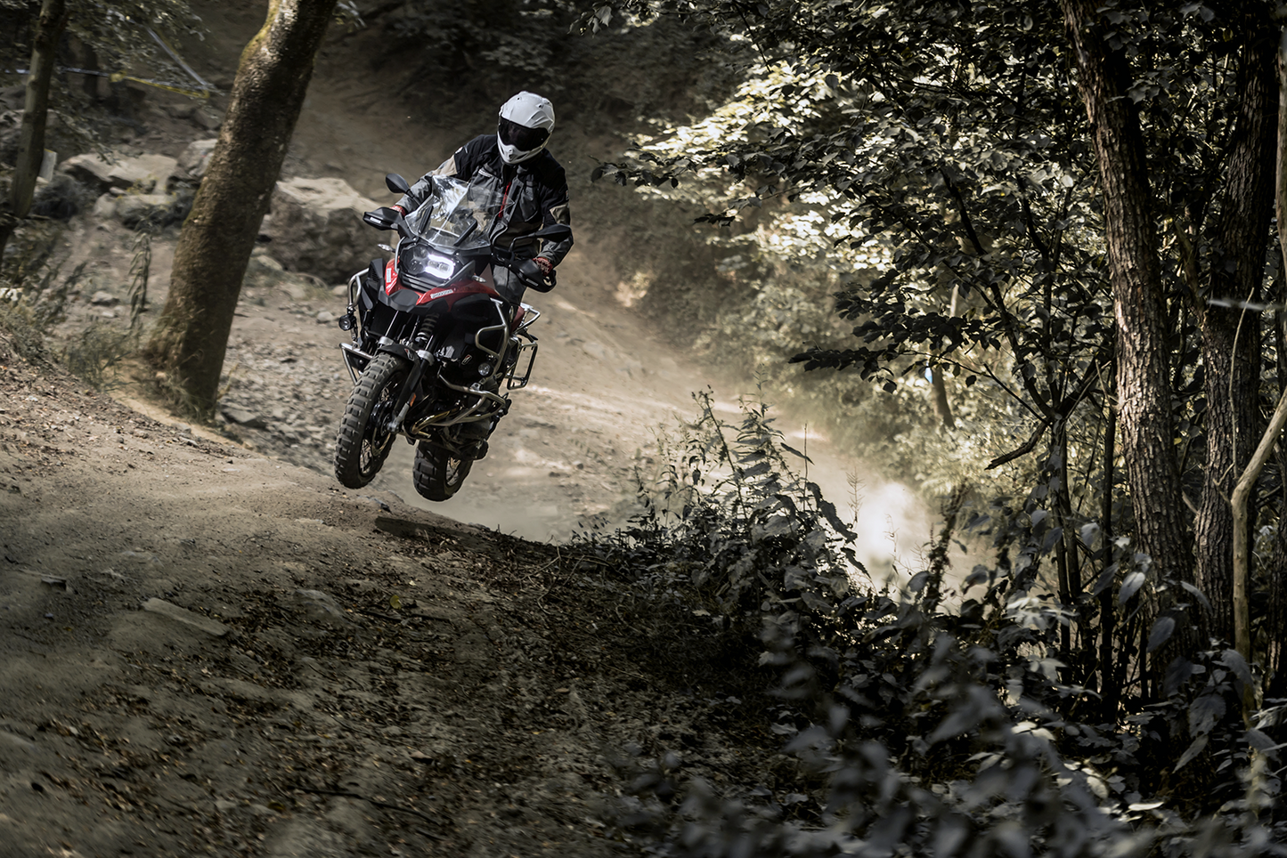 03170485 image 2