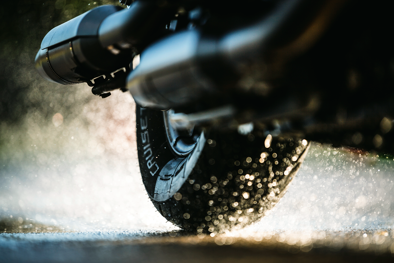 03021481 image 1